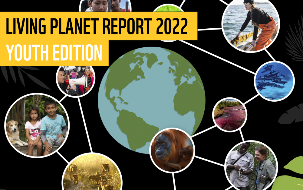 Living Planet Report - Youth Edition | WWF